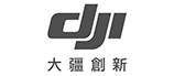 大維高新